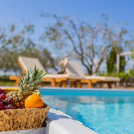 House Olive Tree Villa Kaocine