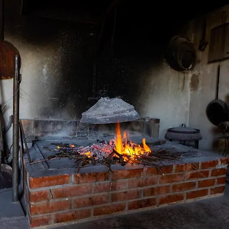 House Olive Tree Villa *