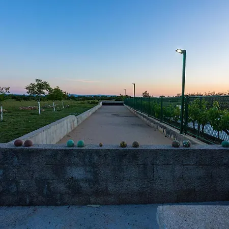 Villa House Olive Tree