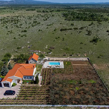 House Olive Tree Kaocine