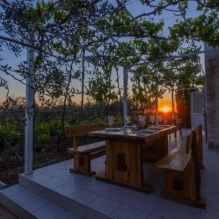 House Olive Tree * Kaocine