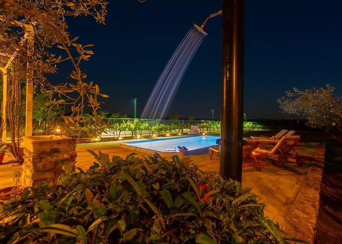 House Olive Tree * Kaocine