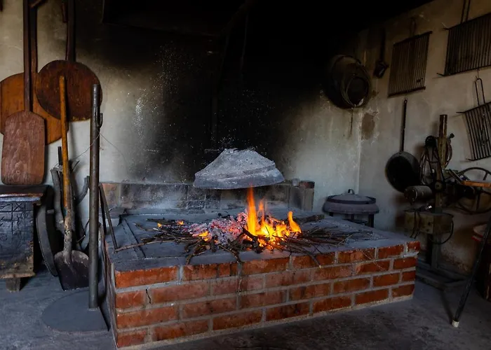 House Olive Tree Villa *