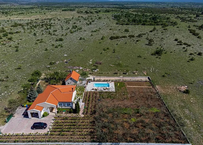 House Olive Tree Kaocine